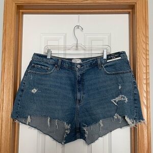 Abercrombie & Fitch High Rise Distressed Mom Shorts Size 35/20